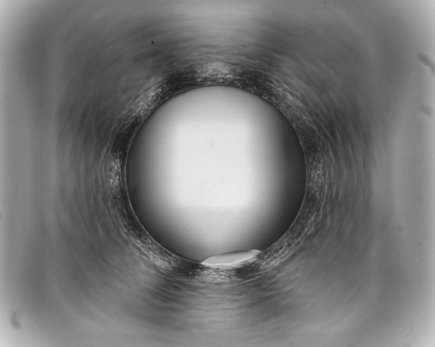 X0000098090708200804181236
