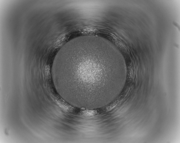 X0000098090711200804181236