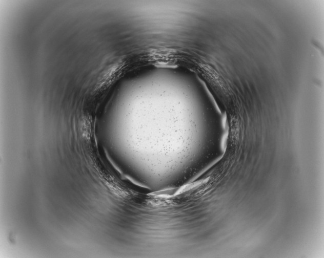 X0000098090712200804181236