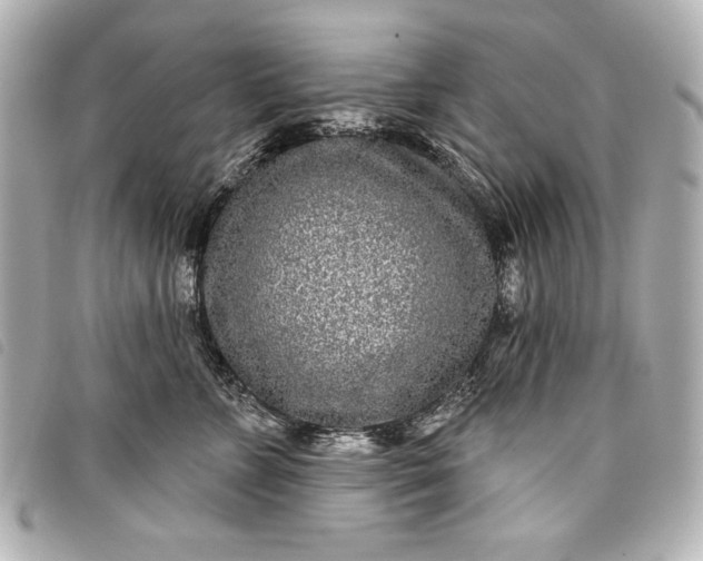 X0000098090715200804181236