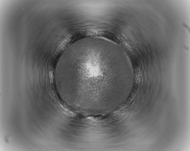 X0000098090716200804181236
