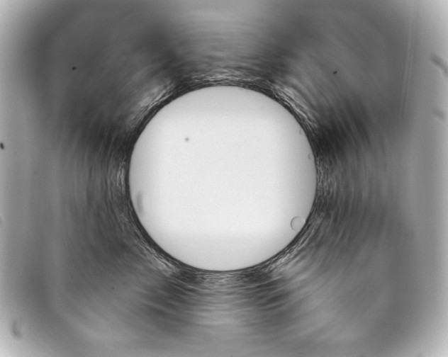 X0000098090717200804181236