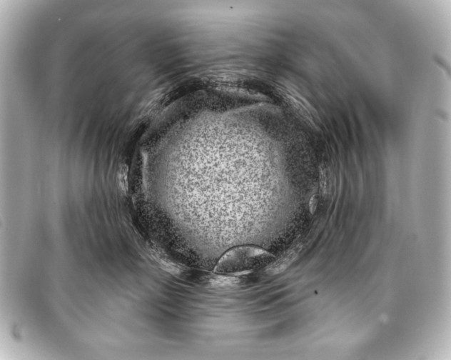 X0000098090718200804181236