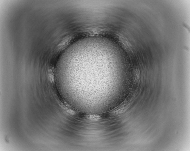 X0000098090719200804181236