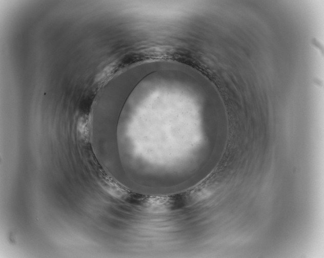 X0000098090720200804181236