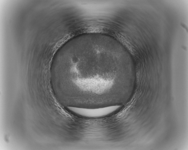 X0000098090721200804181235
