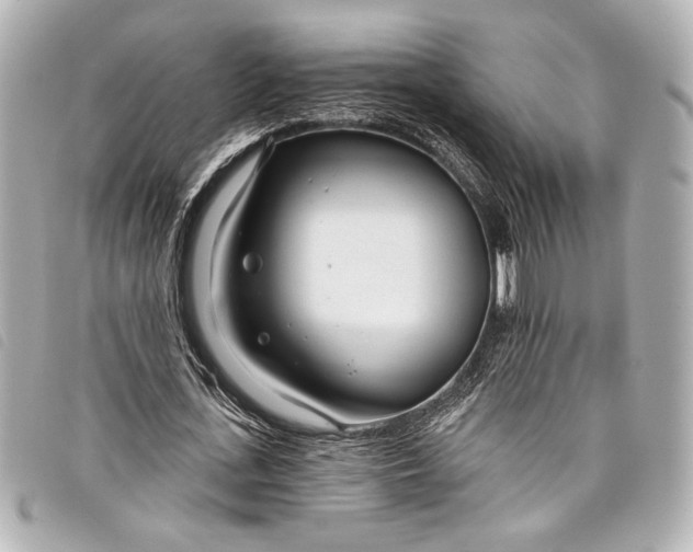 X0000098090723200804181235