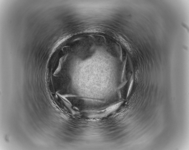 X0000098090724200804181235