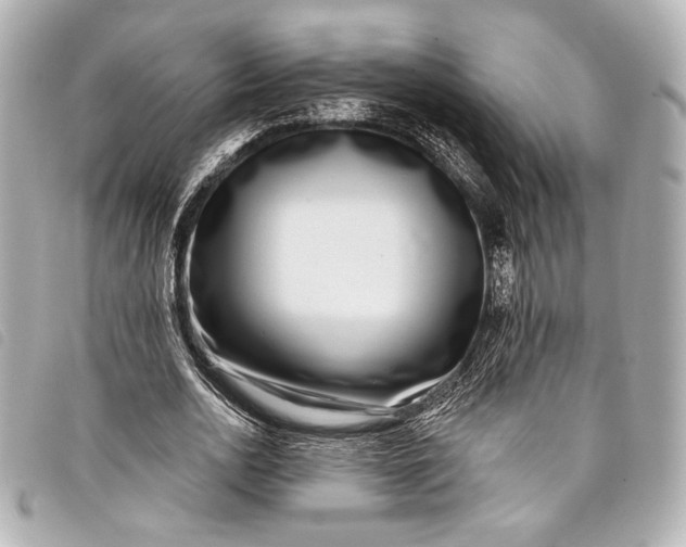 X0000098090726200804181235