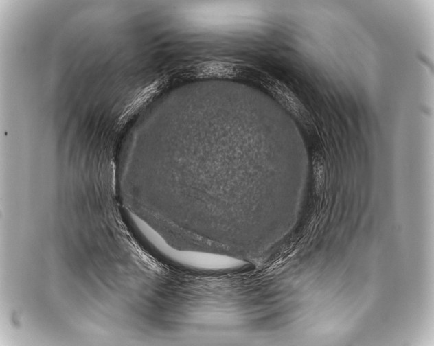 X0000098090729200804181235
