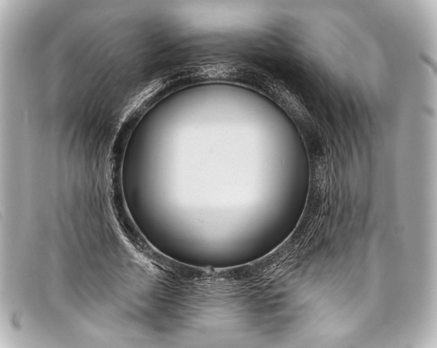 X0000098090730200804181235