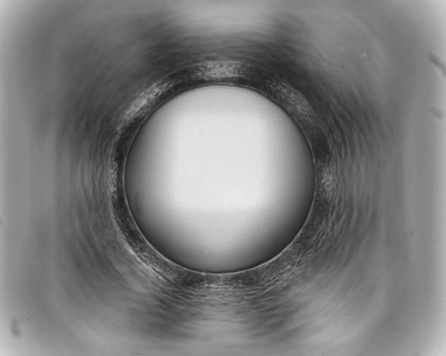 X0000098090732200804181235