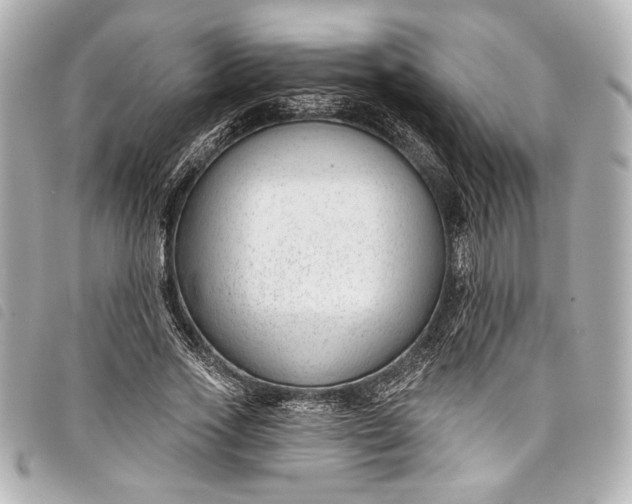 X0000098090733200804181235