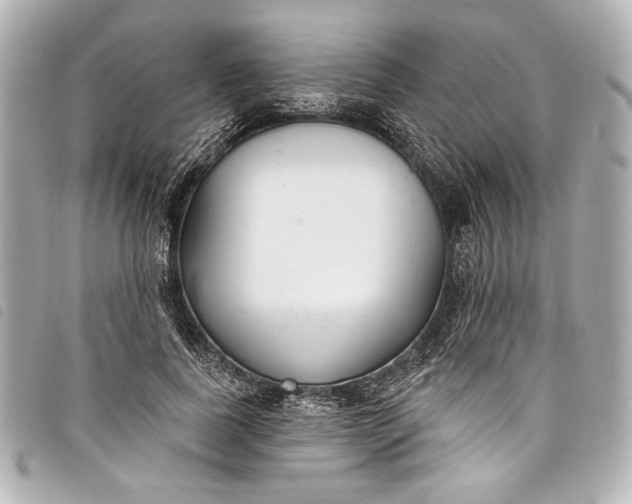 X0000098090739200804181235