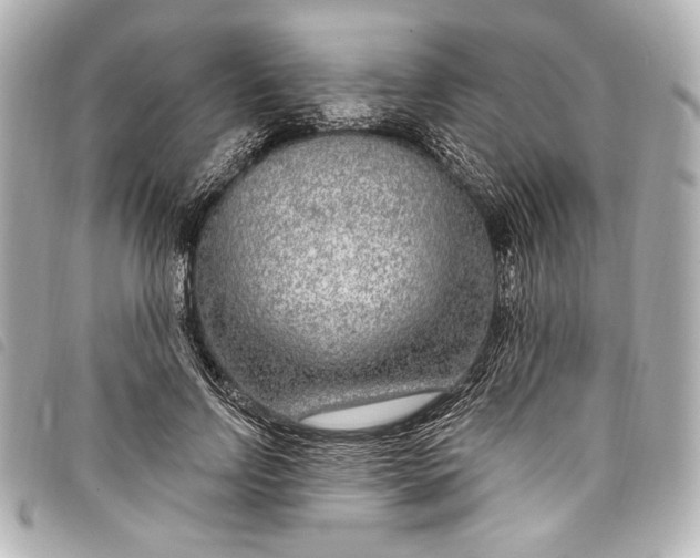 X0000098090742200804181235