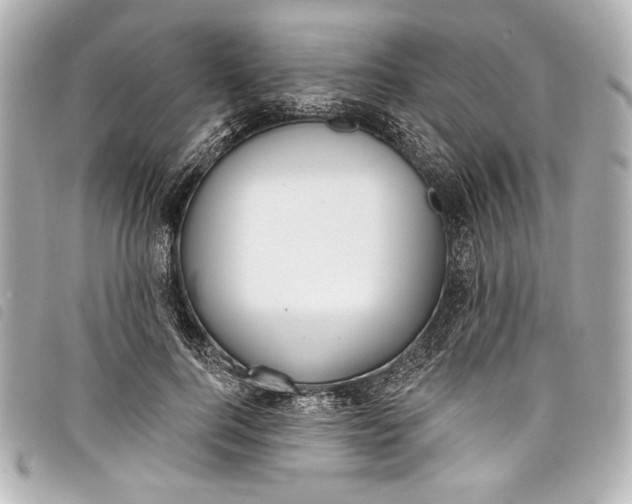 X0000098090744200804181235