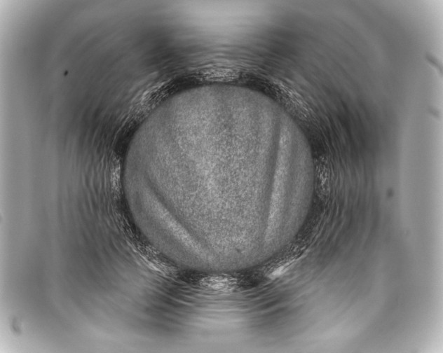 X0000098090745200804181235