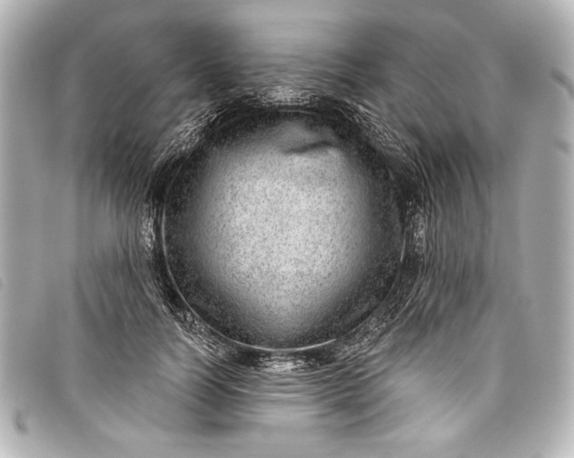 X0000098090746200804181235