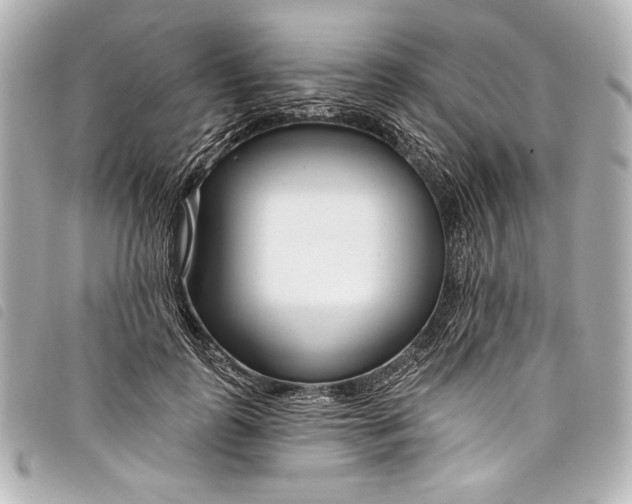 X0000098090747200804181235