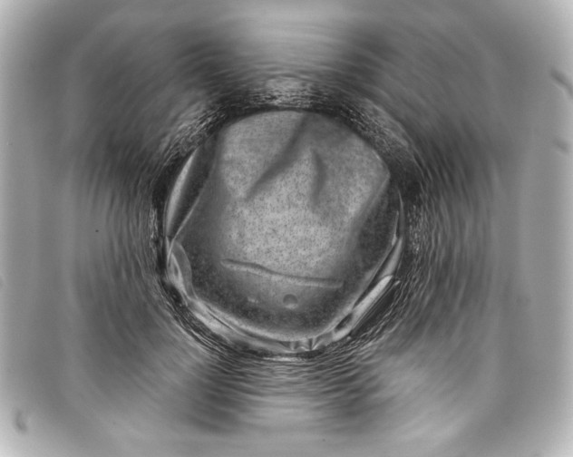 X0000098090748200804181235