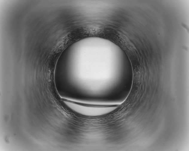 X0000098090750200804181235