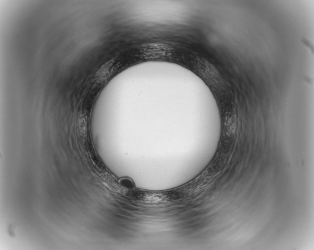 X0000098090753200804181235