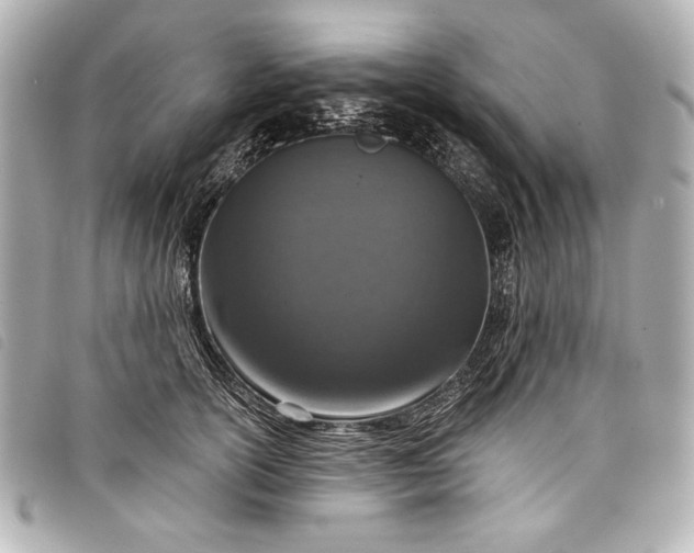 X0000098090754200804181235