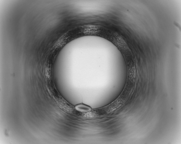 X0000098090755200804181235