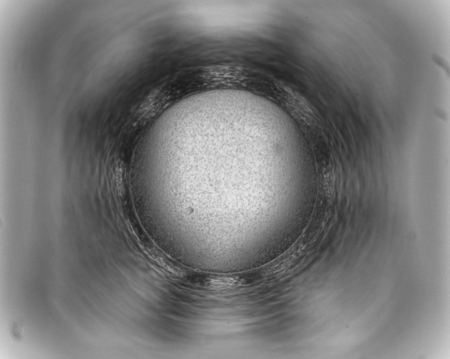 X0000098090757200804181235