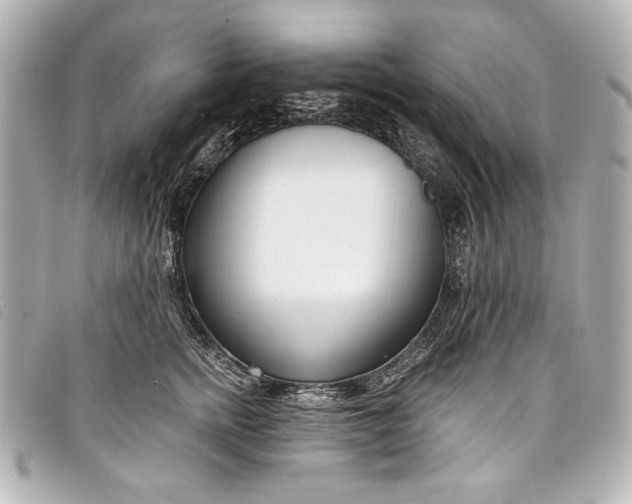 X0000098090758200804181235