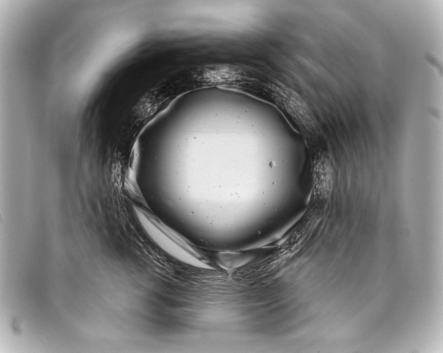 X0000098090762200804181235