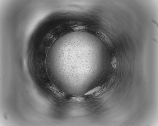X0000098090763200804181236