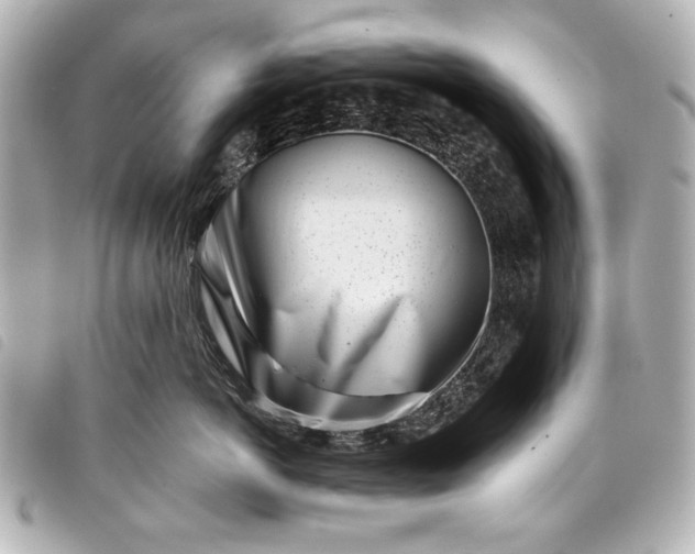 X0000098090766200804181236