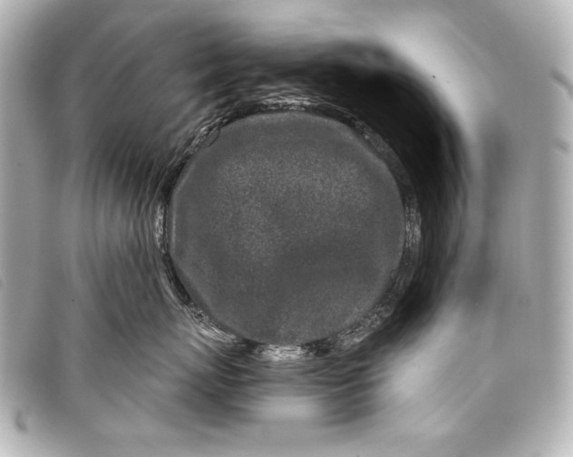 X0000098090767200804181236