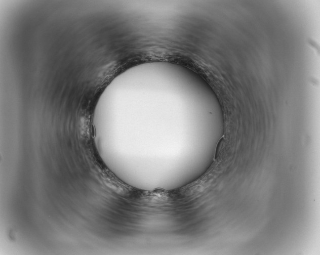 X0000098090768200804181236