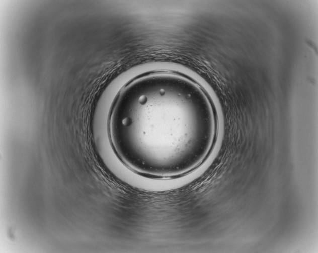 X0000098090769200804181235