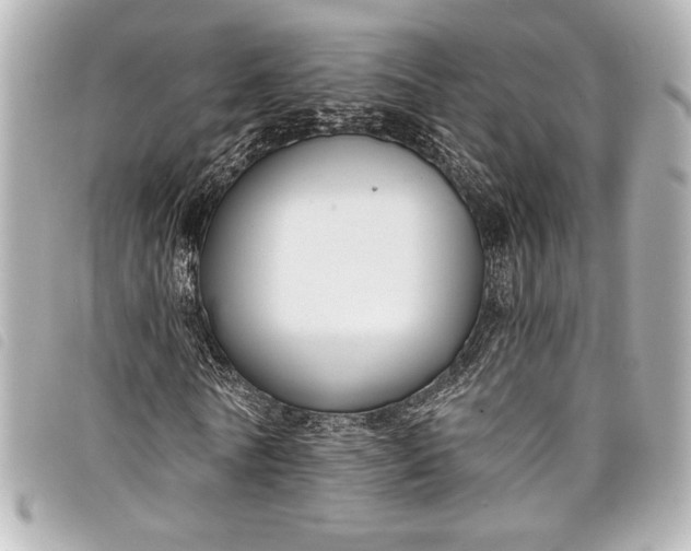 X0000098090770200804181235