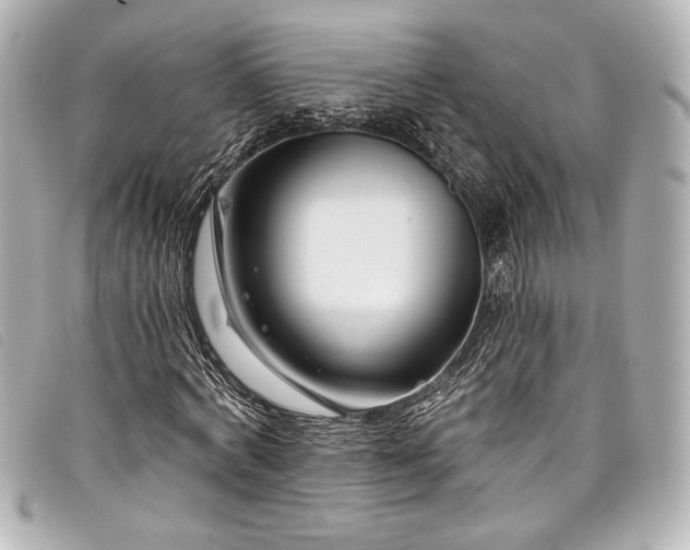 X0000098090772200804181235