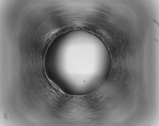 X0000098090773200804181235