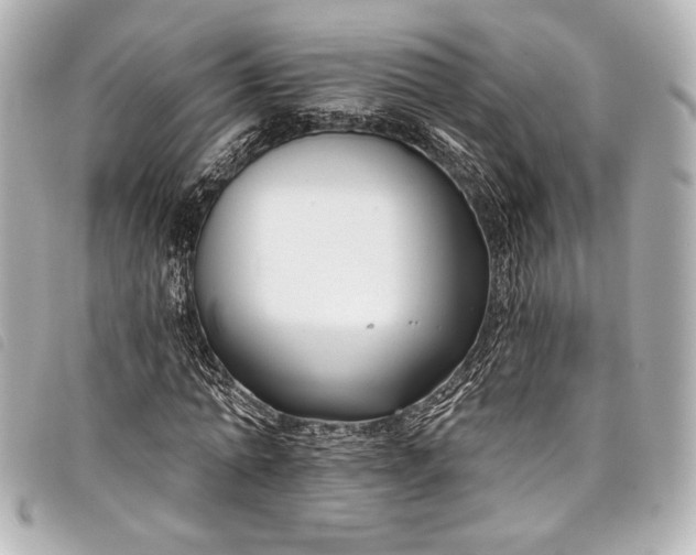 X0000098090774200804181235
