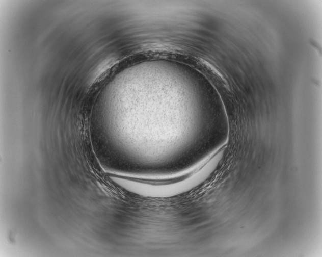 X0000098090775200804181235