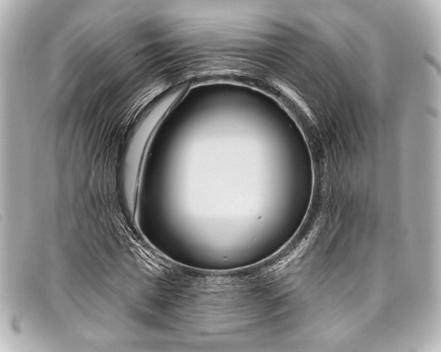 X0000098090777200804181235