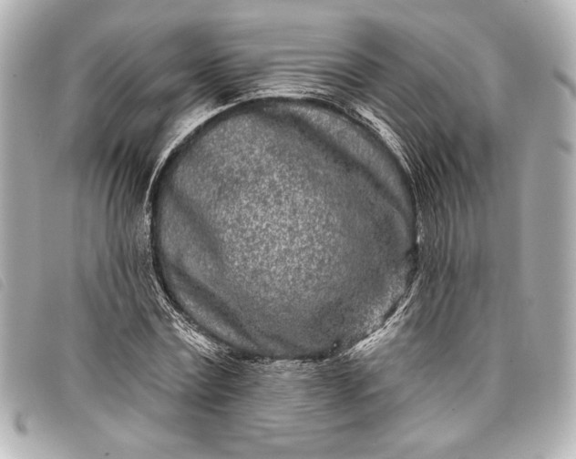 X0000098090779200804181235