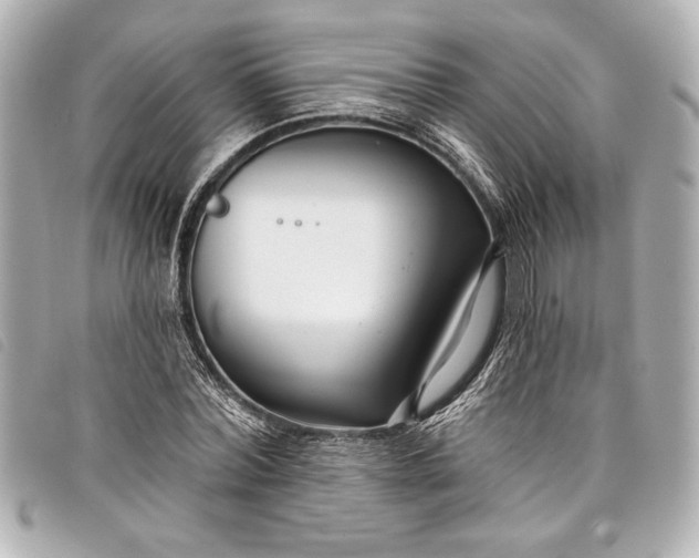 X0000098090780200804181235