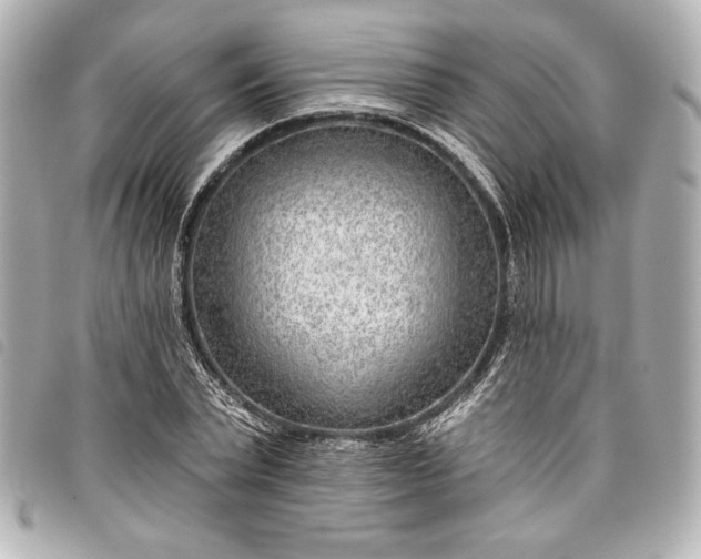 X0000098090783200804181235