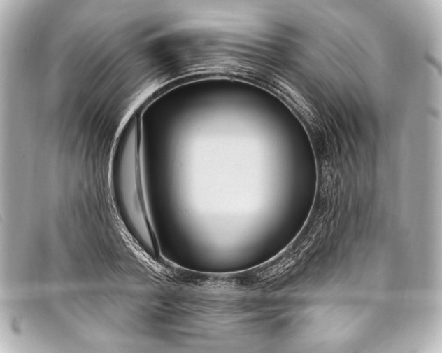 X0000098090788200804181234