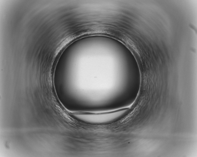 X0000098090789200804181234
