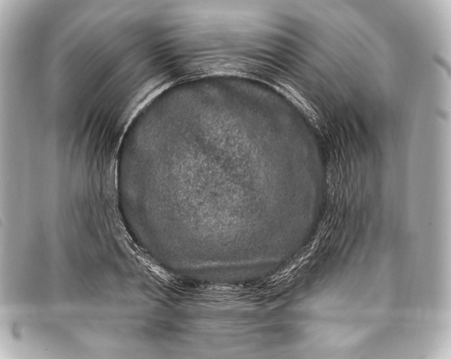 X0000098090790200804181234