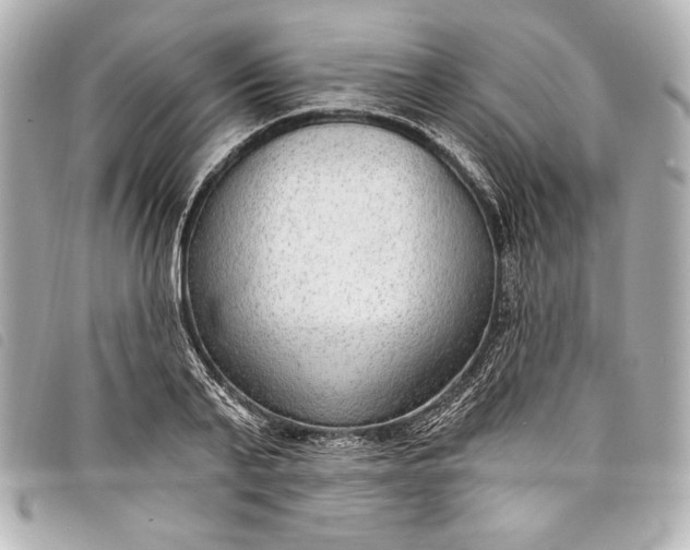 X0000098090791200804181234