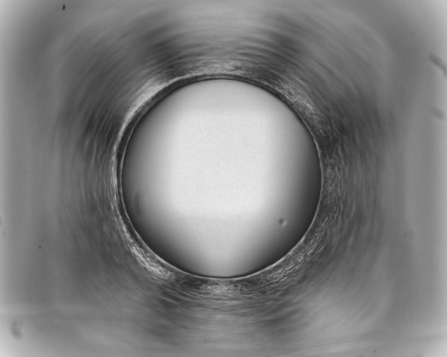 X0000098090792200804181234